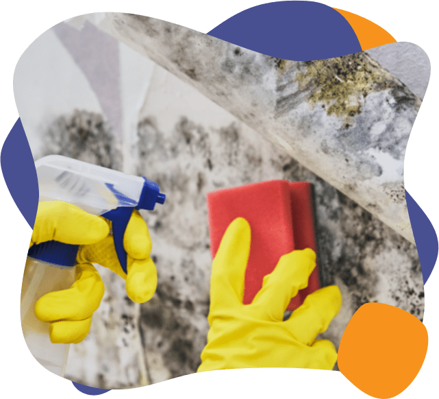 an enviropure home cleaning specialist removes mold from a wall
